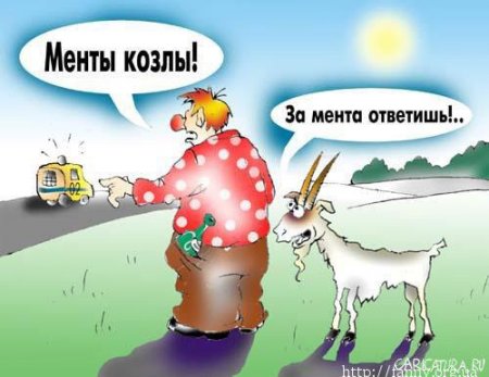 Юмор в картинках! (ФОТО)