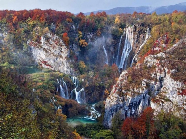 Красота дикой природы от National Geographic за 2015 год (ФОТО)