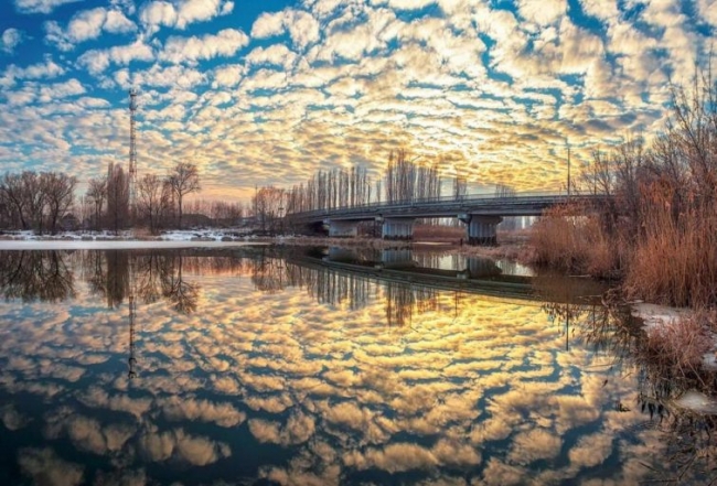 Красота дикой природы от National Geographic за 2015 год (ФОТО)