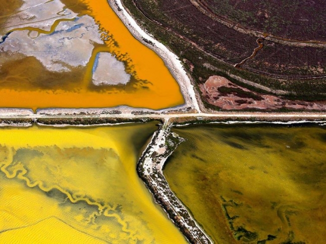 Красота дикой природы от National Geographic за 2015 год (ФОТО)